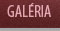 Gal�ria